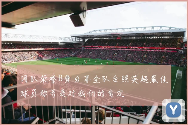 团队荣誉B费分享全队合照英超最佳球员称号是对我们的肯定