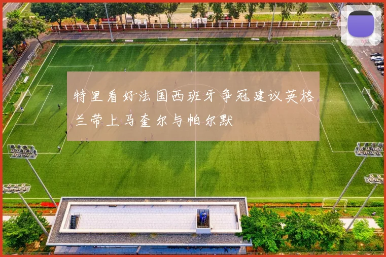 特里看好法国西班牙争冠建议英格兰带上马奎尔与帕尔默