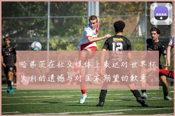 哈弗茨在社交媒体上表达对世界杯失利的遗憾与对国家期望的歉意